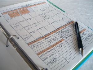 Monthly Calendar - Customized with 1/2 page calendar and 1/2 page for goal recording.